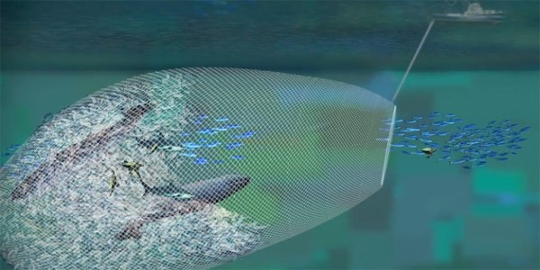 1429807657-06e5e2