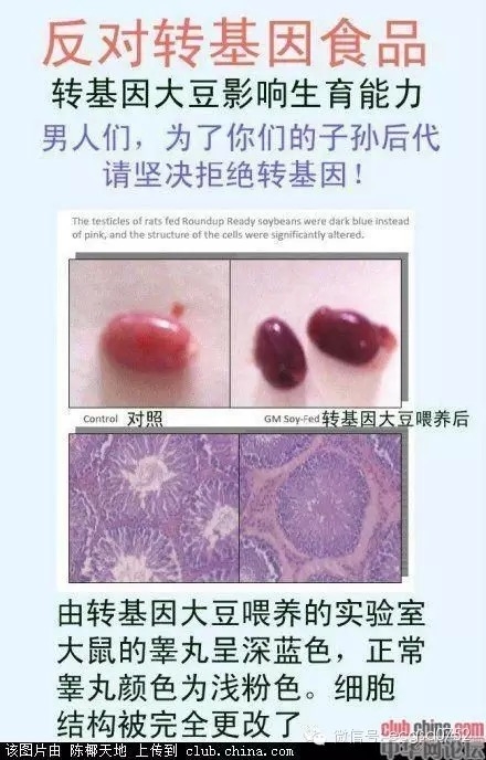 1432869123-1e131b
