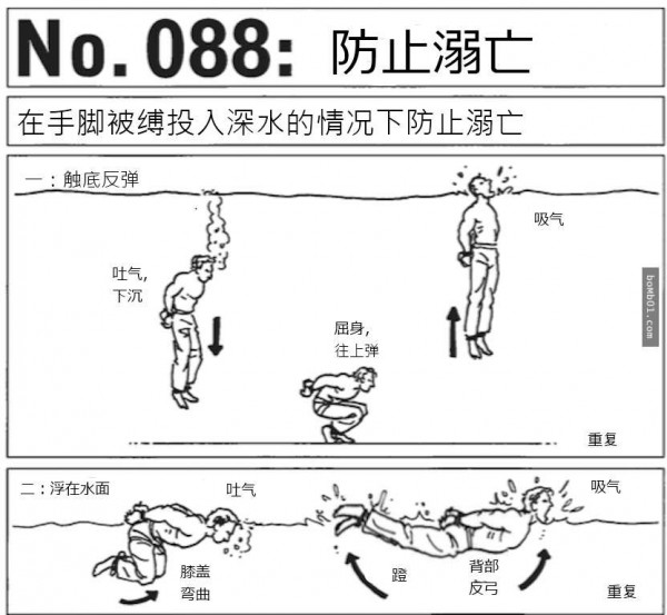 1451666499-b89588