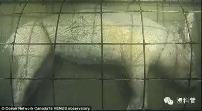 1459701732-014503
