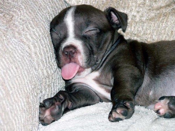 1460196735-09bdcb