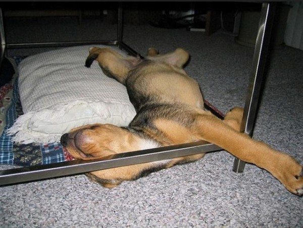 1460196736-6859ab